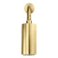 Cilindro Handdouche Goud 2